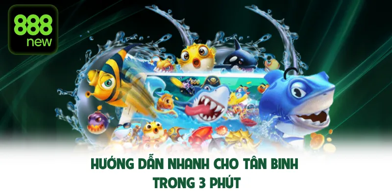 Hướng dẫn nhanh cho tân binh trong 3 phút