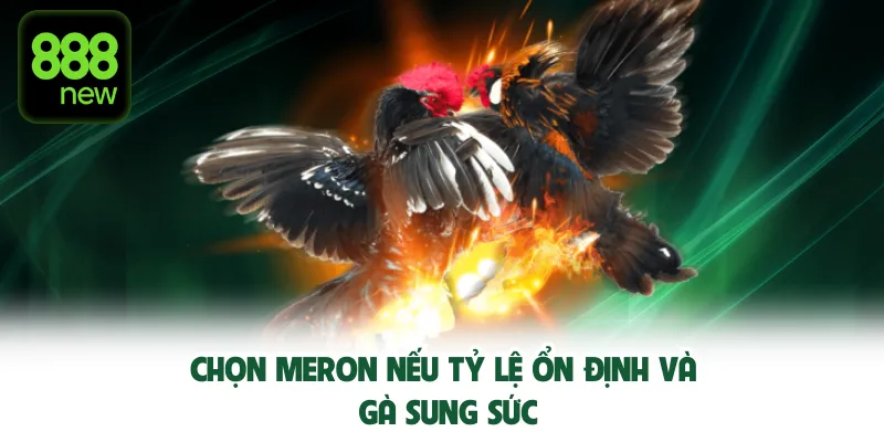 Chọn Meron nếu tỷ lệ ổn định và gà sung sức.