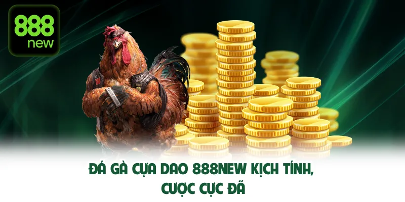 Đá gà cựa dao 888new kịch tính, cược cực đã.