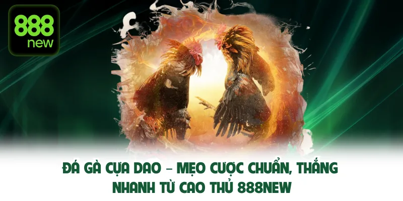 da-ga-cua-dao
